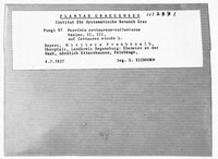 Image Associated With the Occurence